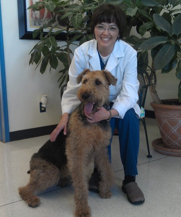 Pet Dentist Serving Highlands Ranch, CO and Surroundings